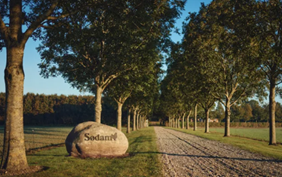 Nadias samarbejde med Sødam – En styrkelse af dyrevelfærden i branchen